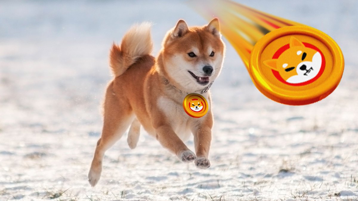 ShibHappenz's tweet photo. @ShibaInuHodler @elonmusk We go by the name Dogecoin Killer and we ask the DogeFather if he has any during a mysterious rally... Dogecoin has holders not a community. #WhenShib #Shib #ShibaInu #ShibaArmy https://t.co/PoYoCGdDhH