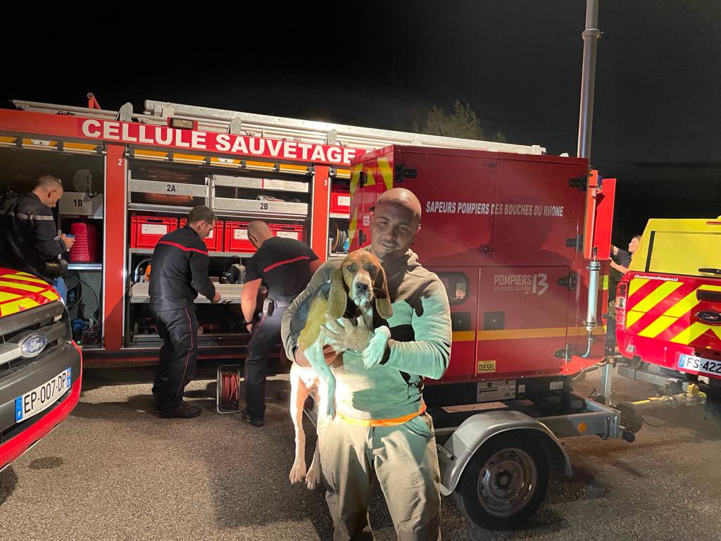 Pompiers_13's tweet photo. 🔴[#Opérations] 

Les #Pompiers13 vous protègent et protègent ceux que vous aimez. 
Après plusieurs heures d’un sauvetage compliqué, Loca est saine et sauve. Ce soir, le maître et son chien ont été réunis grâce à l’intervention des équipes spécialisées du sauvetage déblaiement. https://t.co/v1TlN595fs