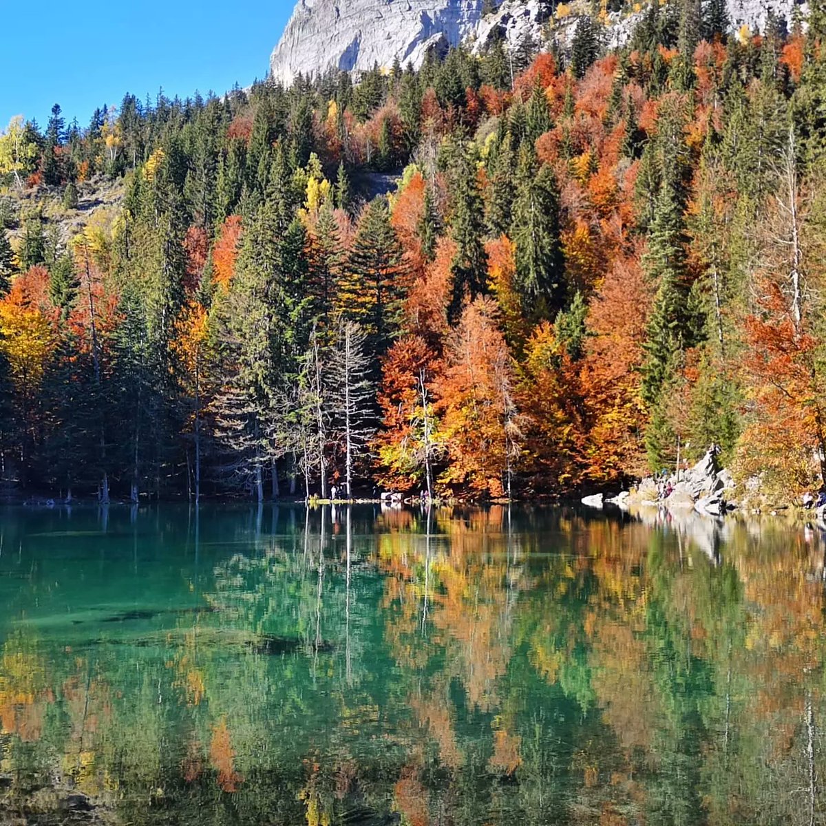 MorganeBENMAL's tweet photo. Explosion of colours for #milesformeals! Sunday funday! 🍃🍁☀️🙌
@SamHeughan @MyPeakChallenge @MountainPeakers @UFsPeakers @FrenchPeakers https://t.co/clbCIn6nrP