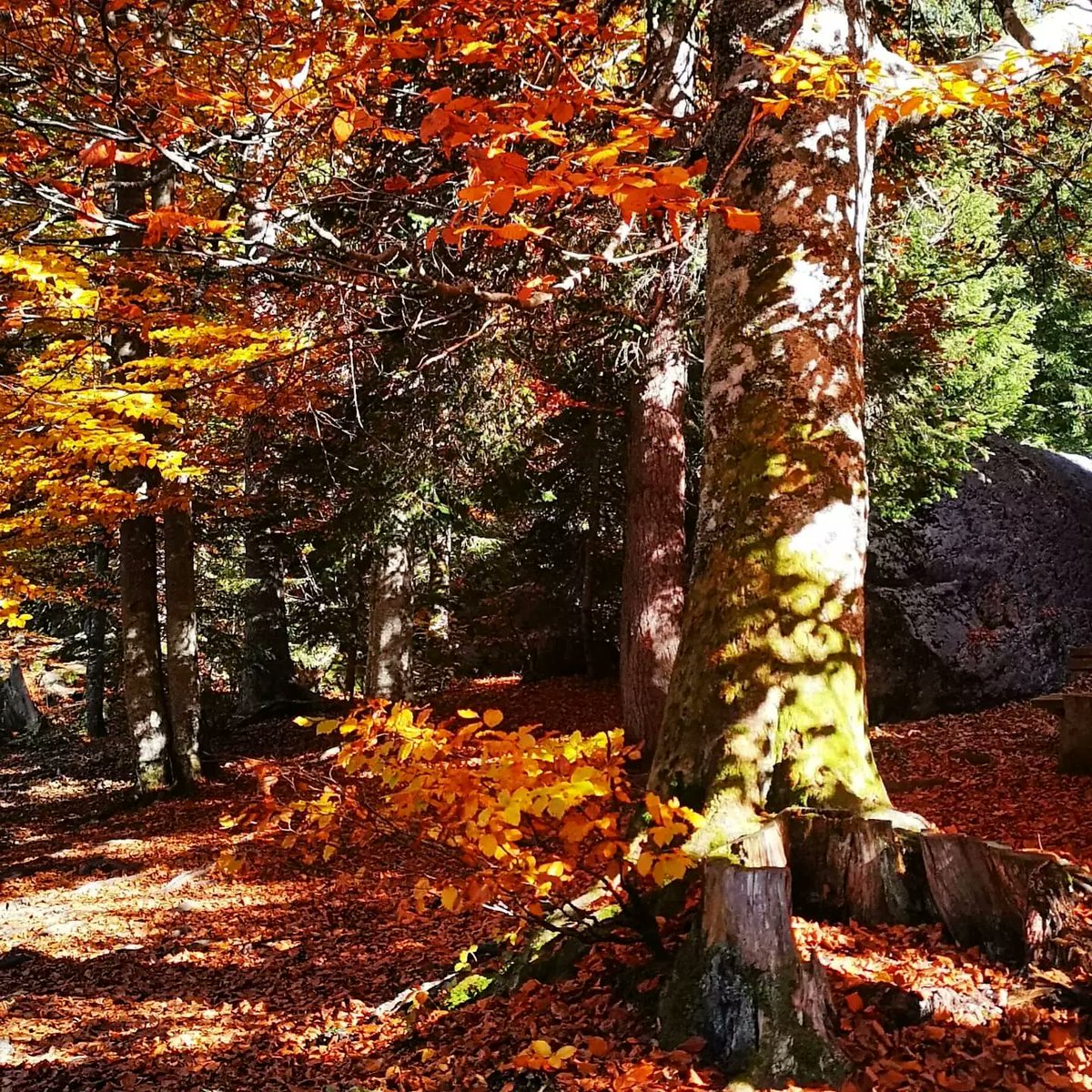 Explosion of colours for #milesformeals! Sunday funday! 🍃🍁☀️🙌
<a href="/SamHeughan/">Sam Heughan</a> <a href="/MyPeakChallenge/">My Peak Challenge</a> <a href="/MountainPeakers/">Mountain Peakers</a> <a href="/UFsPeakers/">United Frenchy sPeakers</a> <a href="/FrenchPeakers/">French Peakers</a>