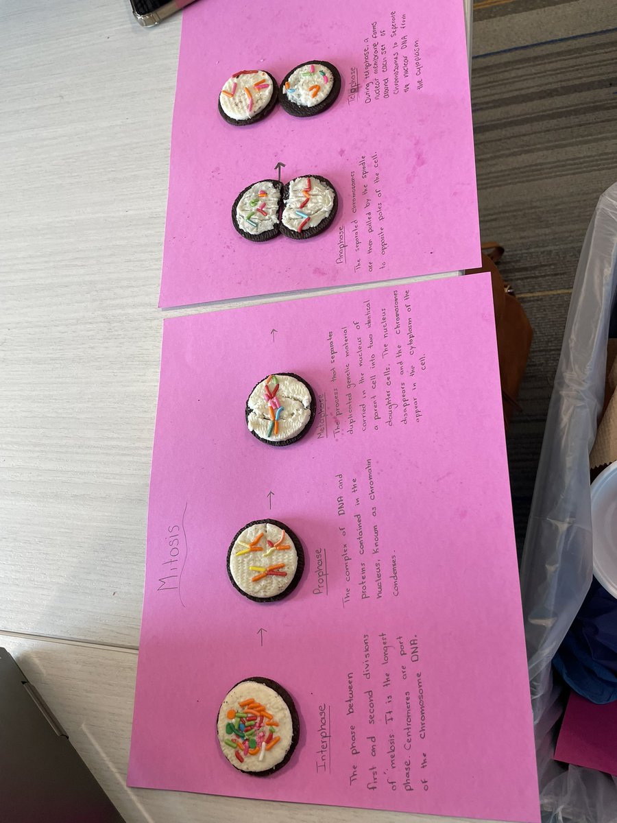 kendrargarza's tweet photo. DC bio students diagraming the Eukaryotic Cell Cycle and Modeling Mitosis with Oreos this week. I love their questions and curiosity! #casttechproud https://t.co/1hWDeThzzi