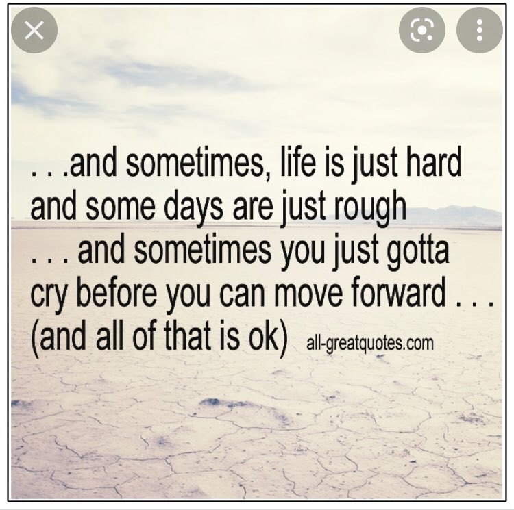 Gidget Felty (@gidget_felty) on Twitter photo 