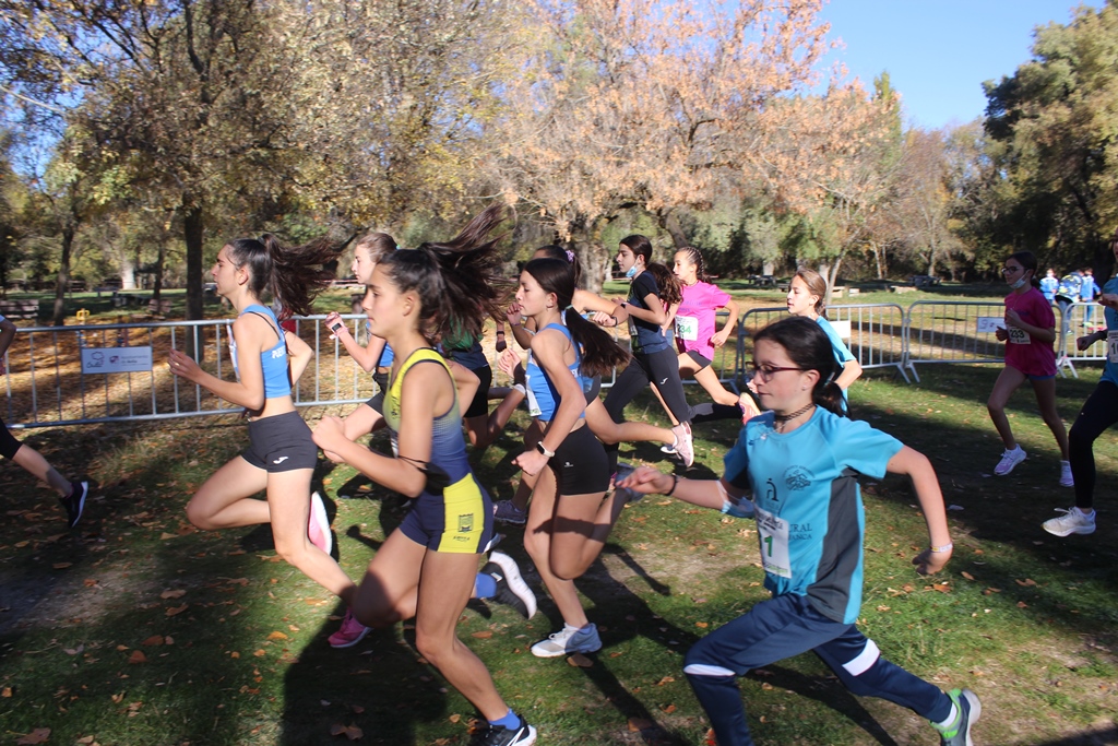 Resultados, Crónica y Fotografías XIII Cross Ciudad de Ávila "Memorial José Soriano" <a href="/EcosportAvila/">Atletismo Ecosport</a>