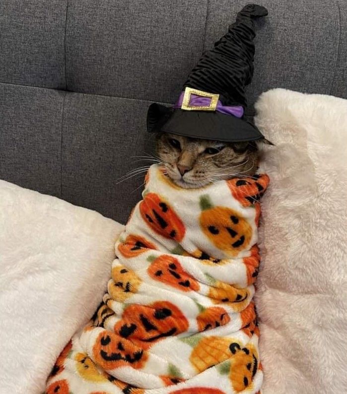 Twinkl Resources tweet media