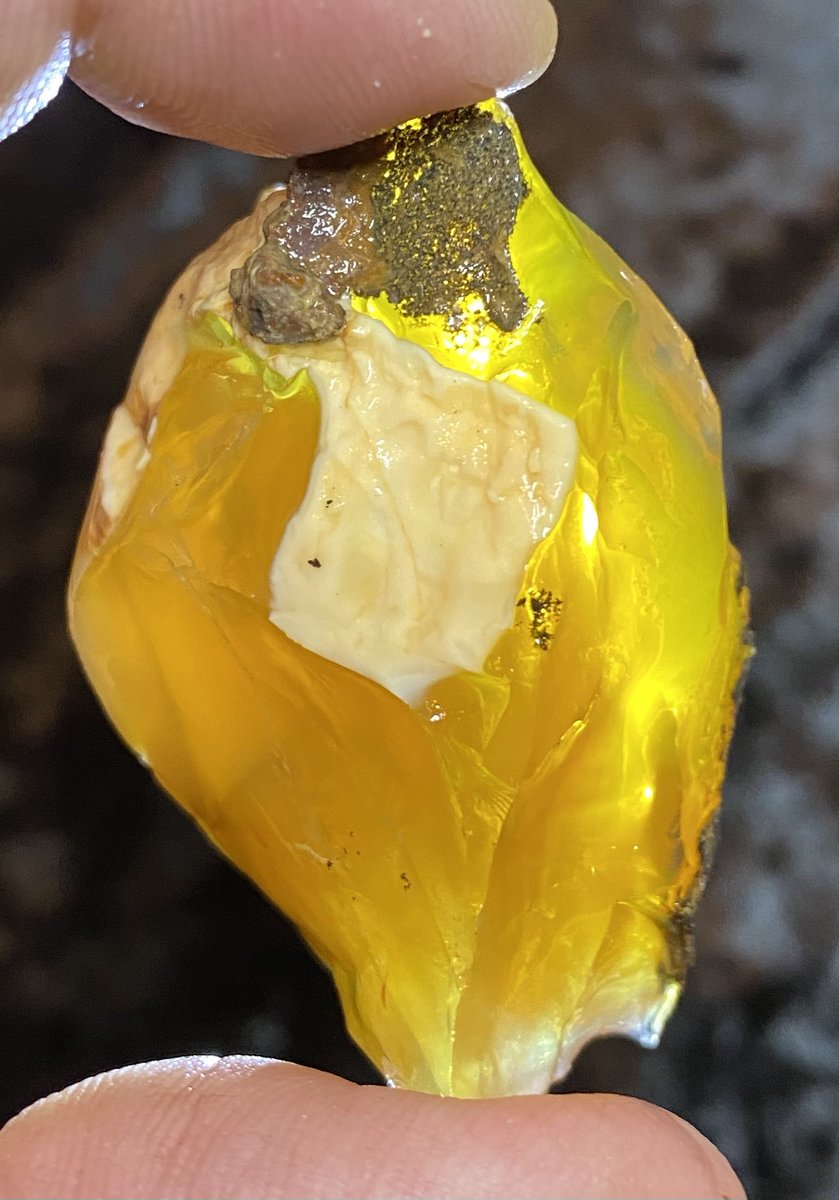 OutlawRocksGems's tweet photo. 43 gram, yellow Oregon fire opal rough mined by Outlaw Rocks. This opal is all natural. $43 with $9.20 US or $18 worldwide shipping. https://t.co/PX0XonVYDL https://t.co/MhBdSvjyVC