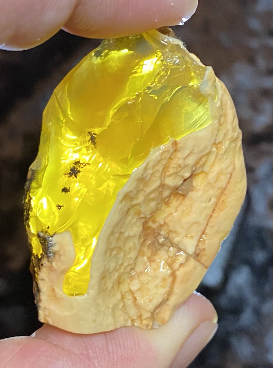 OutlawRocksGems's tweet photo. 43 gram, yellow Oregon fire opal rough mined by Outlaw Rocks. This opal is all natural. $43 with $9.20 US or $18 worldwide shipping. https://t.co/PX0XonVYDL https://t.co/MhBdSvjyVC