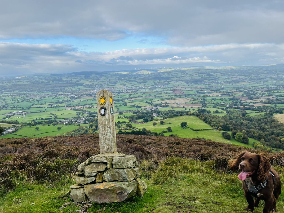 Glesni Wyn Hughes tweet media