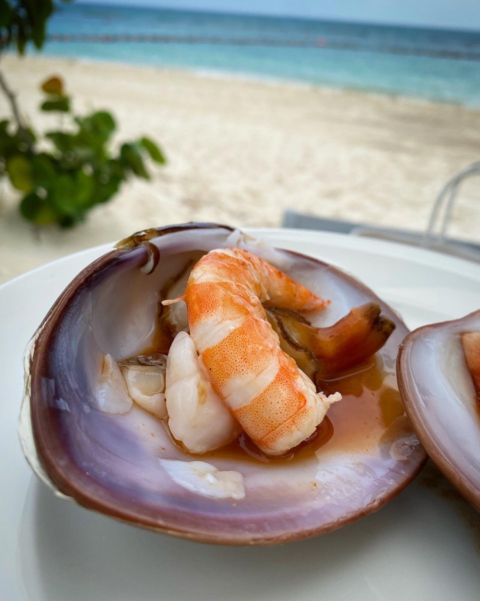 Cocina del mar en el Brunch del Volumen 3 de De México a Andaz en <a href="/AndazMayakoba/">Andaz Mayakoba</a> como invitado <a href="/gallorozco/">Chava  Orozco</a> de <a href="/micompachava/">micompachava</a> con anfitrión <a href="/mikelogv/">miguel.gomez</a> #DeMexicoaAndaz #RivieraMaya