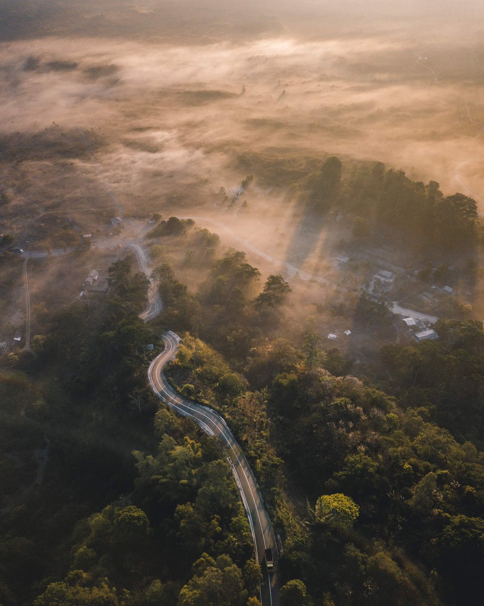 BOBEE Spot tweet media