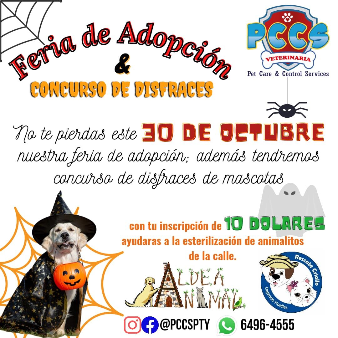 Regálate amor incondivional, adopta un un amigo o amiga fiel