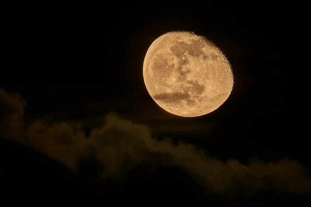 CWDaly's tweet image. #cloudymoon #waninggibbous #moon moonlit #moonlight instagr.am/p/CVa_H4wFZYr/