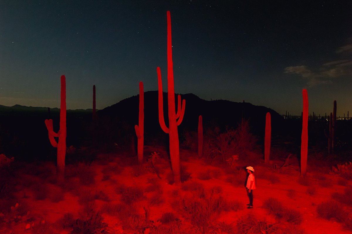 briscoepark's tweet photo. Photos I took in the desert https://t.co/qkGUzyKpfK