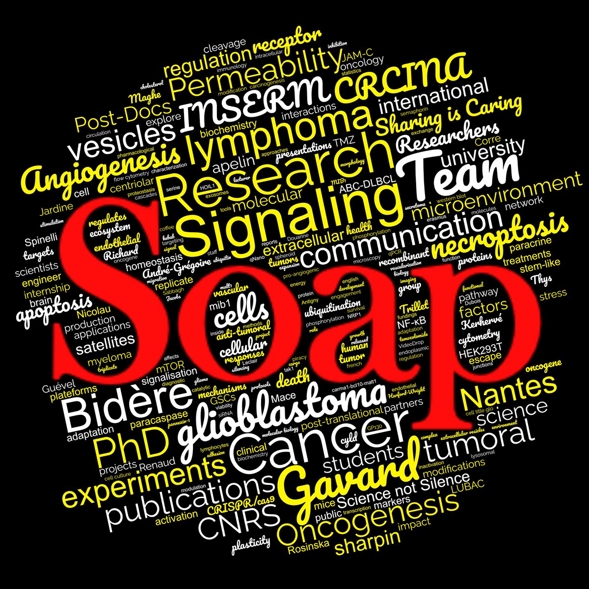 One year of <a href="/LabSoap/">SOAP</a> in few words few colors but plenty of exciting science and cool people 🥼🤘
credit to <a href="/KilianTlt/">Kilian Trillet</a> for this wordcloud 😶‍🌫️