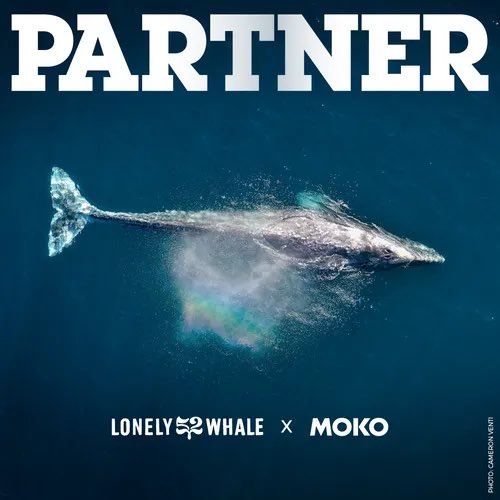 streamyoyoNOW's tweet photo. At MOKO, we believe in @lonelywhale’s mission to strive for a healthier planet. We are excited to announce that Lonely Whale is one of MOKO's partners! Join us October 28th in streaming good moods for good causes! #ComingSoon #StreamMOKO

Credit: Cameron Venti https://t.co/Qyk28Ikq2r