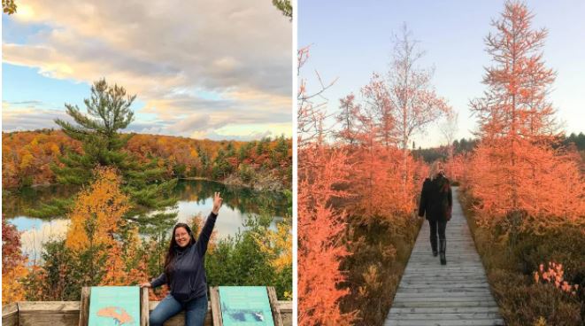 7 Boardwalks around Ottawa that will lead you to spectacular fall views. The details via <a href="/NarcityCanada/">Narcity Canada</a> 👉 bit.ly/2Zaxy7f #MyOttawa
