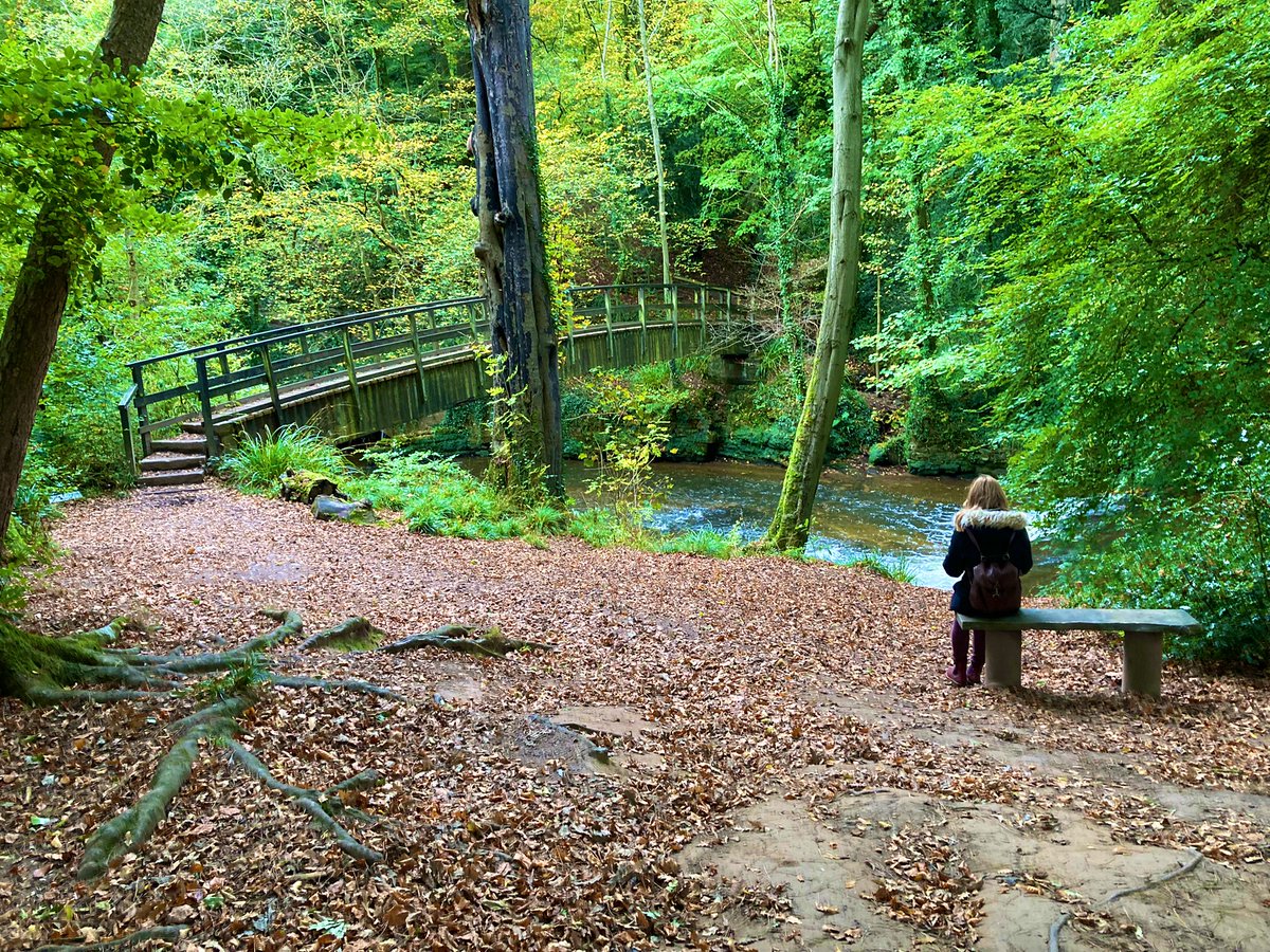 Nice walk at @QuarryBankNT and Styal village today. Lovely place. Might have to go back for a scenic run at some point🏃‍♂️🐴🌳 #nationaltrust