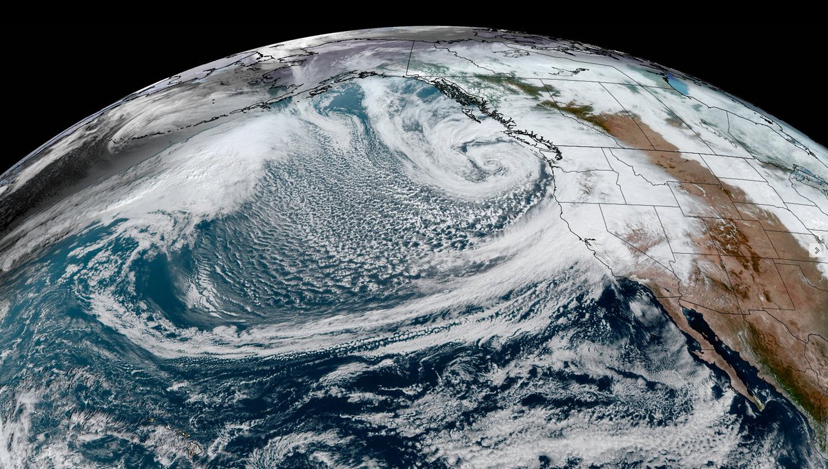 JRWildlife's tweet photo. Wow! #AtmosphericRiver #CaWx https://t.co/S3d92ffIkb
