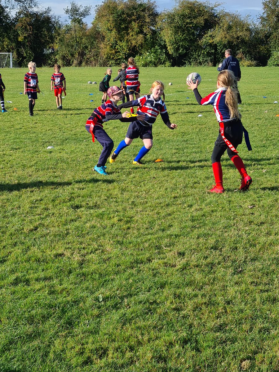 GroveRFC's tweet photo. Our Minis welcomed @FaringdonRUFC this morning.
Some excellent rugby on display across the different age groups
#minirugby #GameDay #Grovepride https://t.co/DOfMpJy4Br