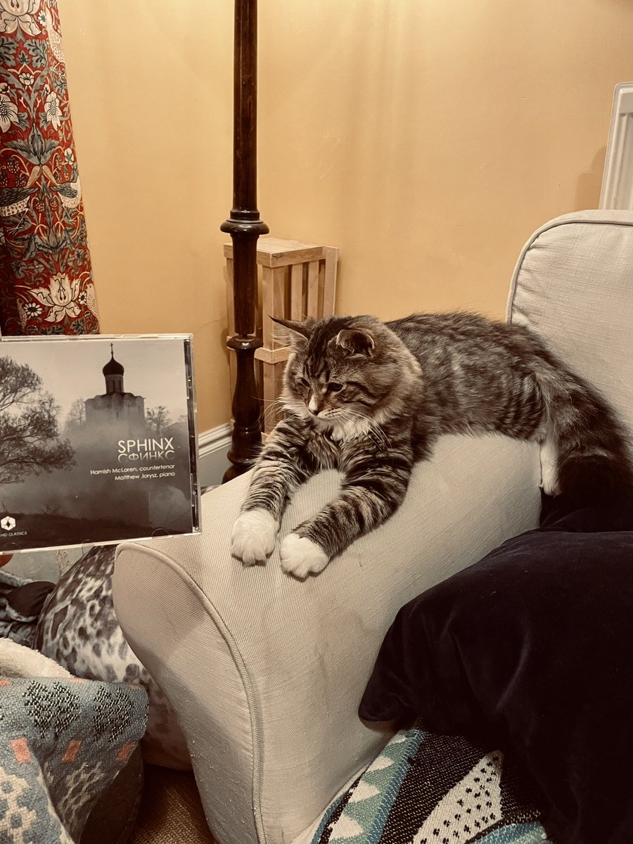 Eh, could be more regal and Egyptian but close enough. 😼