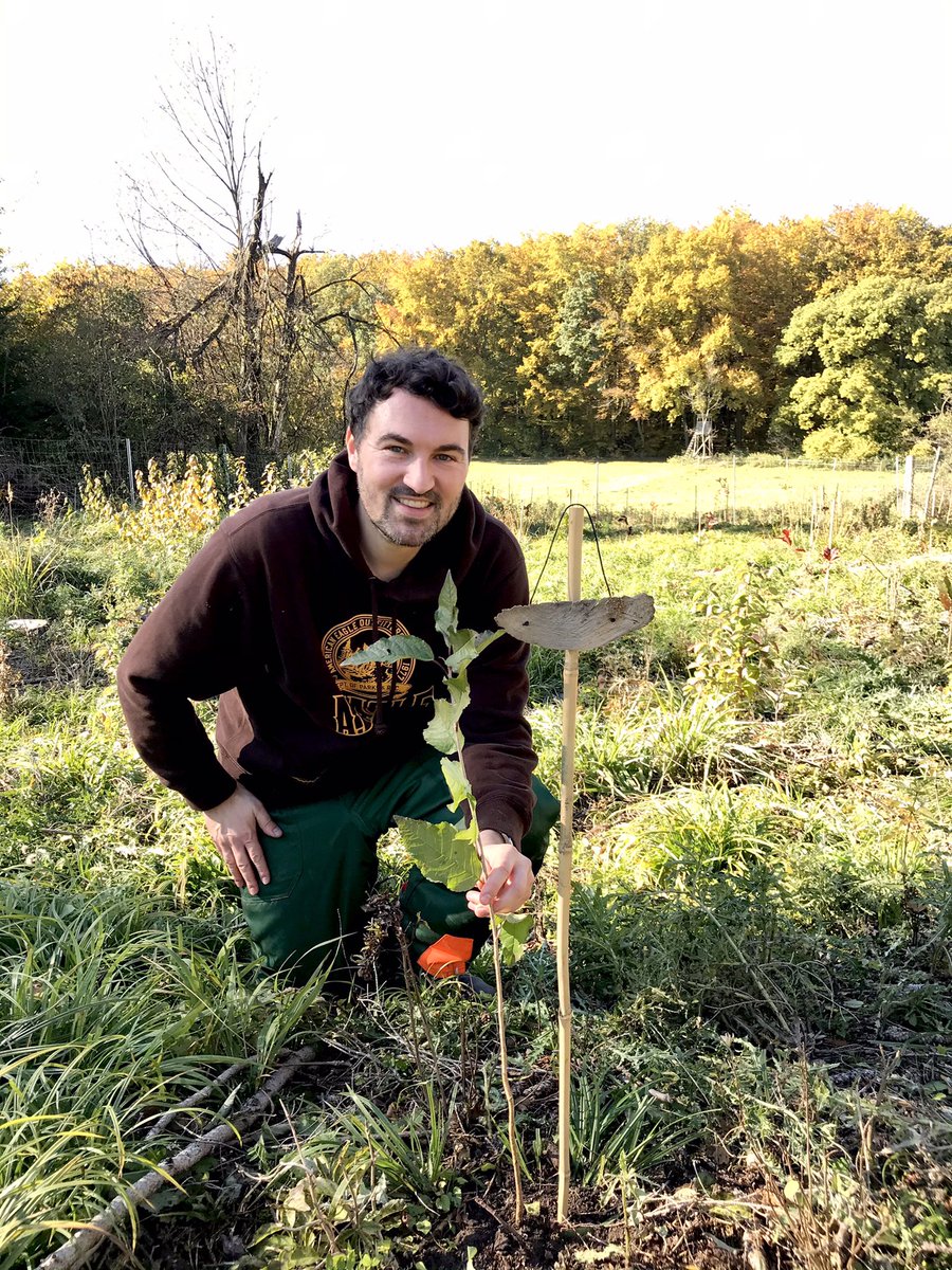 SWachsen's tweet image. #Herbst-Zeit ist Pflanz-Zeit! 

Wir haben heute 87 Buchen, Eichen, Kirschen und Ahorn gesetzt.🌳 
Das geht auch ohne Klima #Regierung
