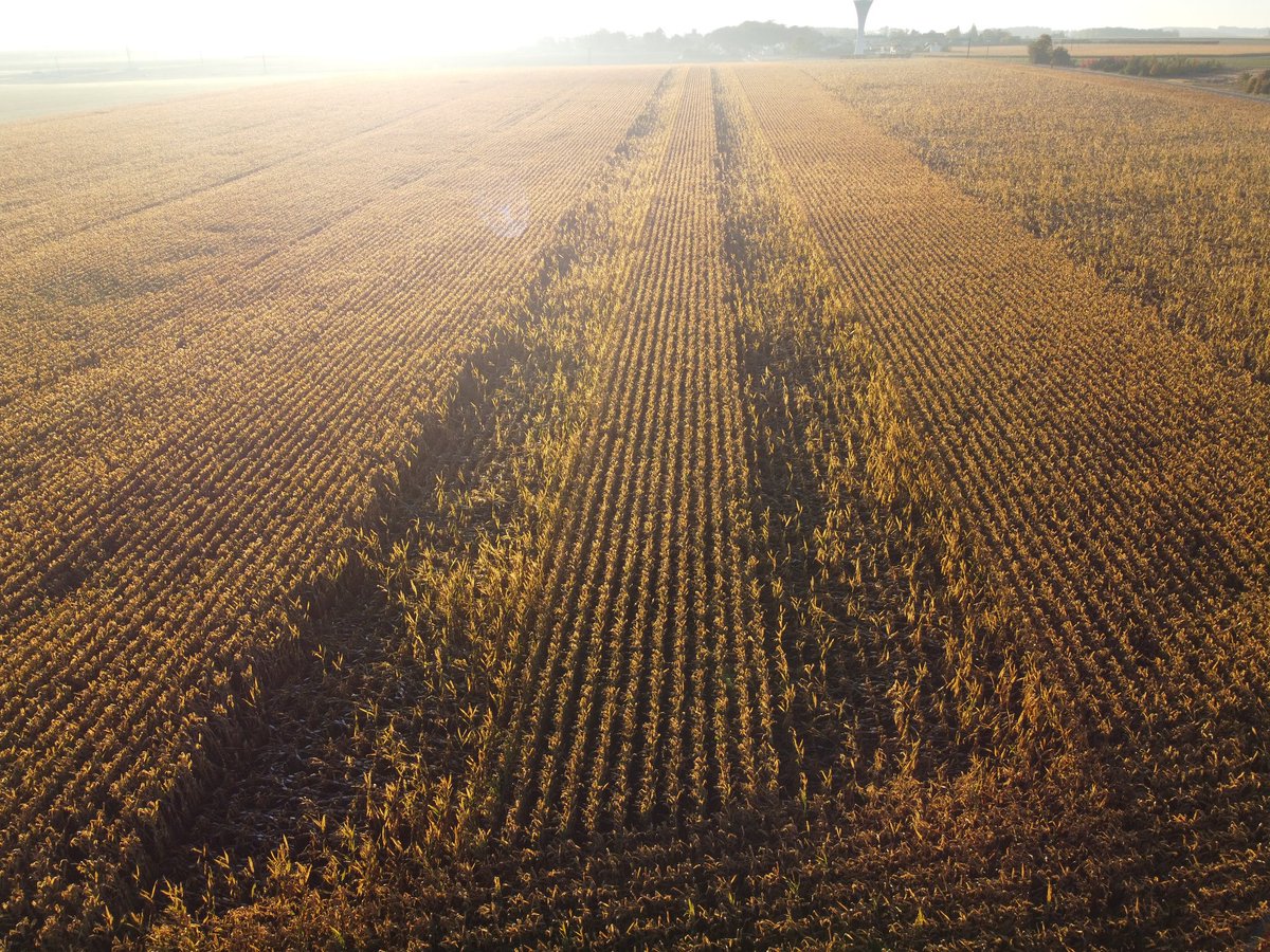 <a href="/DEKALB_FR/">DEKALB-FieldView by Bayer France</a> 💪 vs l'autre