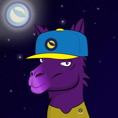 The Defi Jedi tweet media