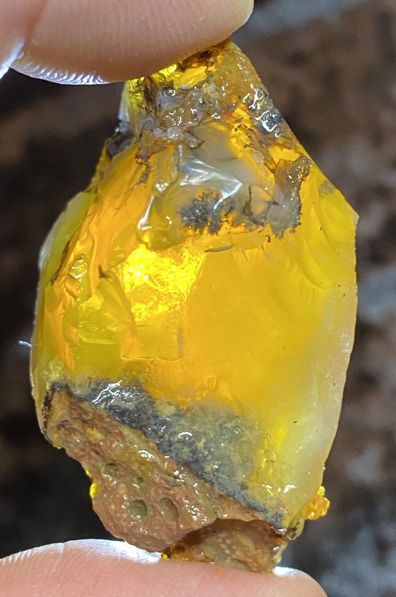OutlawRocksGems's tweet photo. 39 gram, yellow Oregon fire opal rough mined by Outlaw Rocks. This opal is all natural. $39 with $9.20 US or $18 worldwide shipping. https://t.co/MgPkpC6o1D https://t.co/iTZLdgoSbI