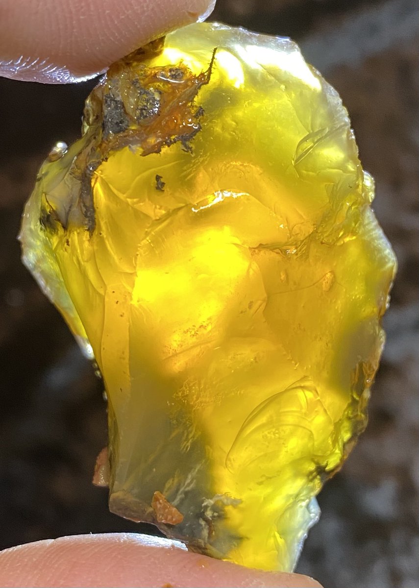 OutlawRocksGems's tweet photo. 39 gram, yellow Oregon fire opal rough mined by Outlaw Rocks. This opal is all natural. $39 with $9.20 US or $18 worldwide shipping. https://t.co/MgPkpC6o1D https://t.co/iTZLdgoSbI