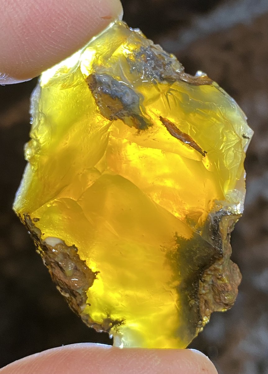OutlawRocksGems's tweet photo. 39 gram, yellow Oregon fire opal rough mined by Outlaw Rocks. This opal is all natural. $39 with $9.20 US or $18 worldwide shipping. https://t.co/MgPkpC6o1D https://t.co/iTZLdgoSbI