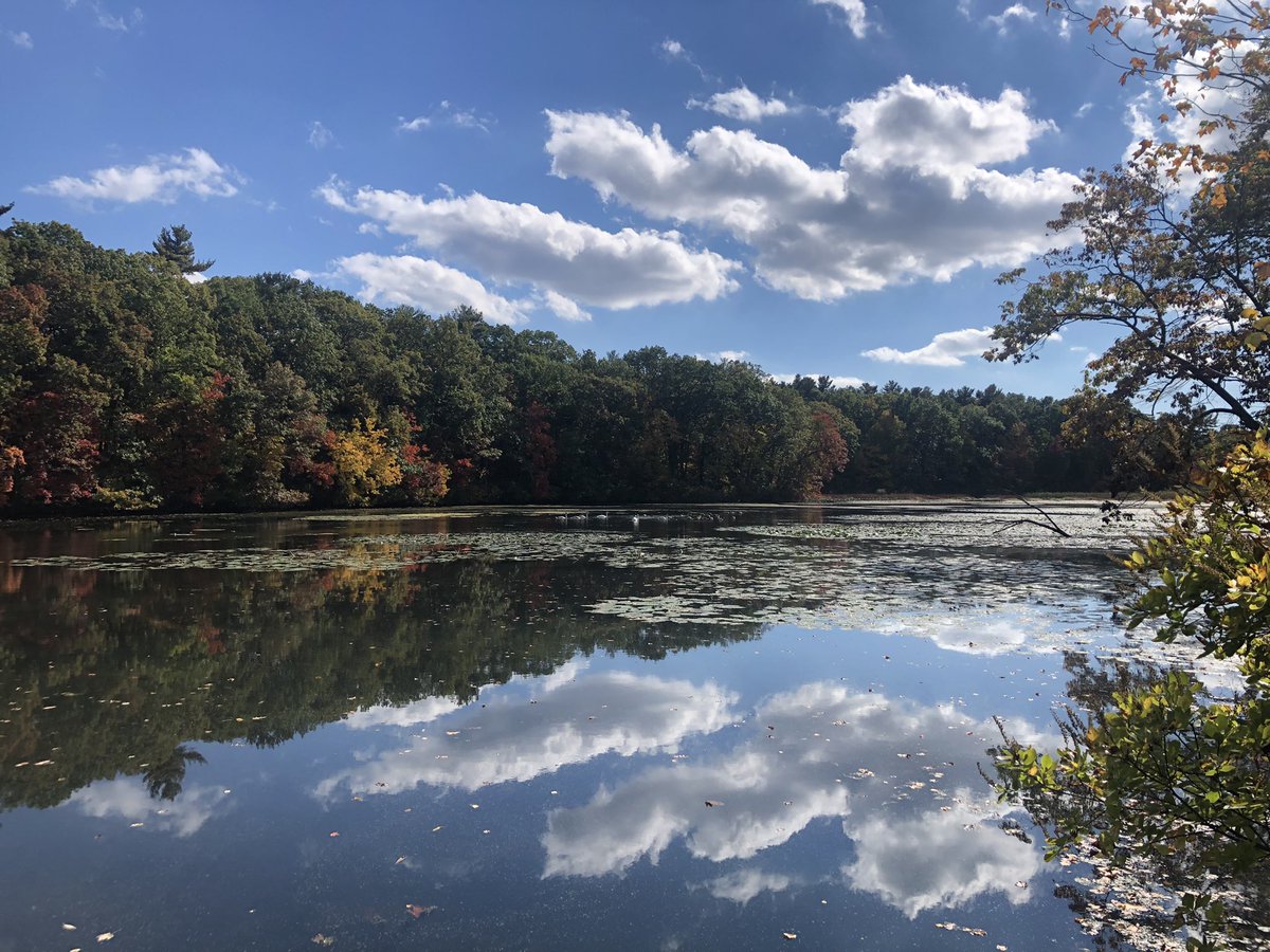 Hamden DTC tweet media