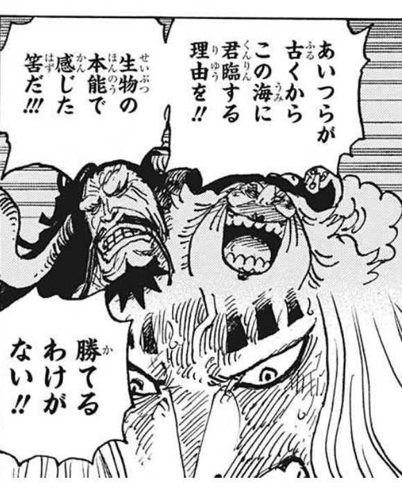 まえさん海賊団 One Piece考察者 Zukor Pirates Twitter