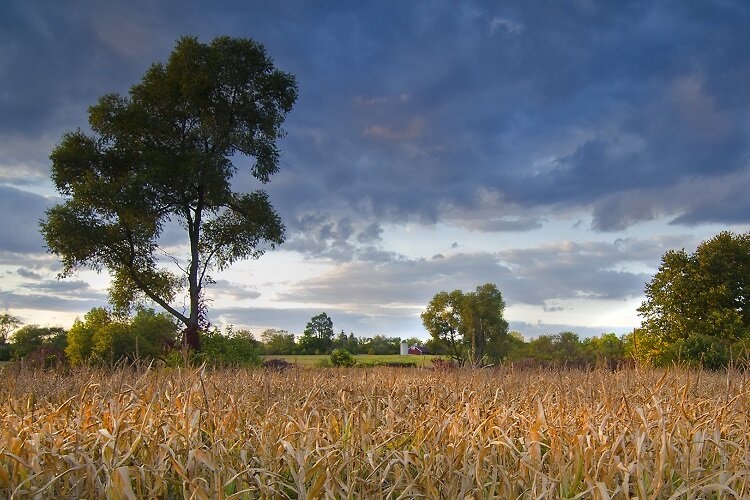 New Washtenaw County nature preserve is now open to the public! 
Check out this article – link below  
secondwavemedia.com/concentrate/de…
#michtrails #michigantrails