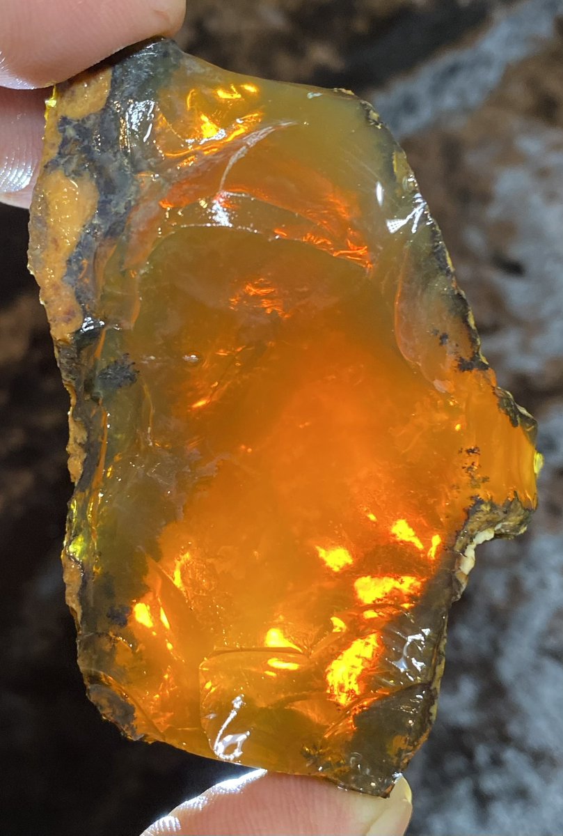 OutlawRocksGems's tweet photo. 156 gram Oregon chocolate fire opal rough mined by Outlaw Rocks. This opal is all natural. $156 with $9.20 US or $18 worldwide shipping. https://t.co/PPGKJL4Lqb https://t.co/0vPvRTd7af