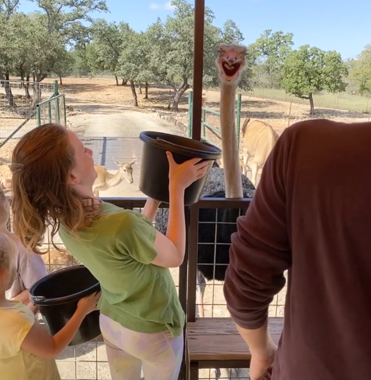 FCfdoLeWEAEb4B7?format=jpg&name=large