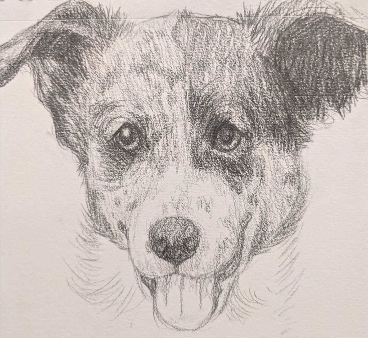 Tuff_titus's tweet photo. Finished up the sketches! 📝 Mom says we will do another one at 1000, which is closer than I thought! Thank you again everypawdy for joining and being my furiend 💙 @TheAmazingBoyd @MarlinIsAGoodB1 #dogsoftwitter #dogs #CorgiCrew #mutt #art https://t.co/wxXAQCZTq9