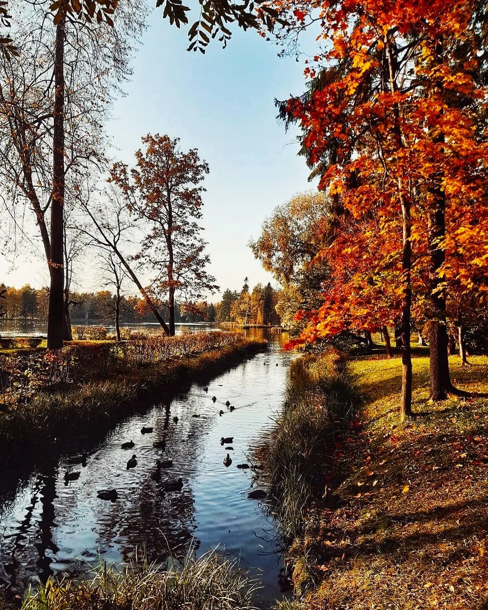 Nata27Best's tweet photo. Nature is always beautiful. https://t.co/QUevLMRLso