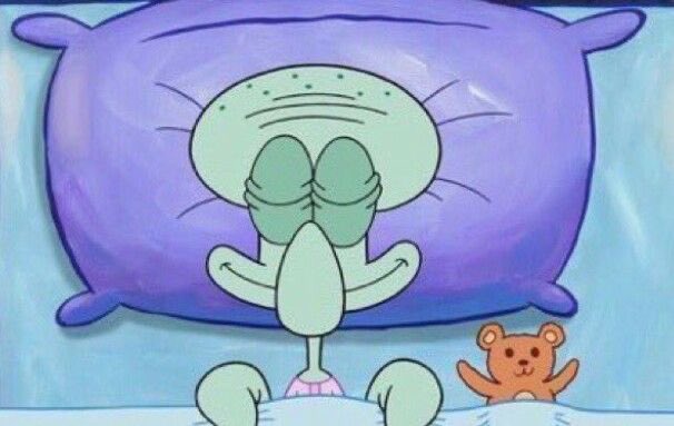 kiwiicroissants's tweet photo. How I’m going to sleep tonight knowing Max Verstappen is leading the championship https://t.co/VQBOLUX5Ye