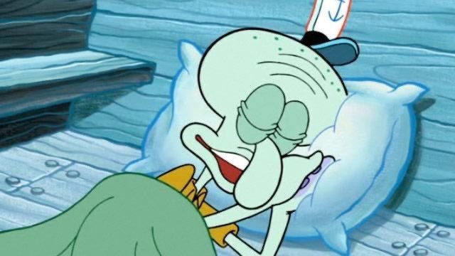 kiwiicroissants's tweet photo. How I’m going to sleep tonight knowing Max Verstappen is leading the championship https://t.co/VQBOLUX5Ye