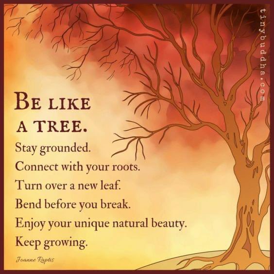 HeatlyPrincipal's tweet photo. https://t.co/jIQdfxxYho