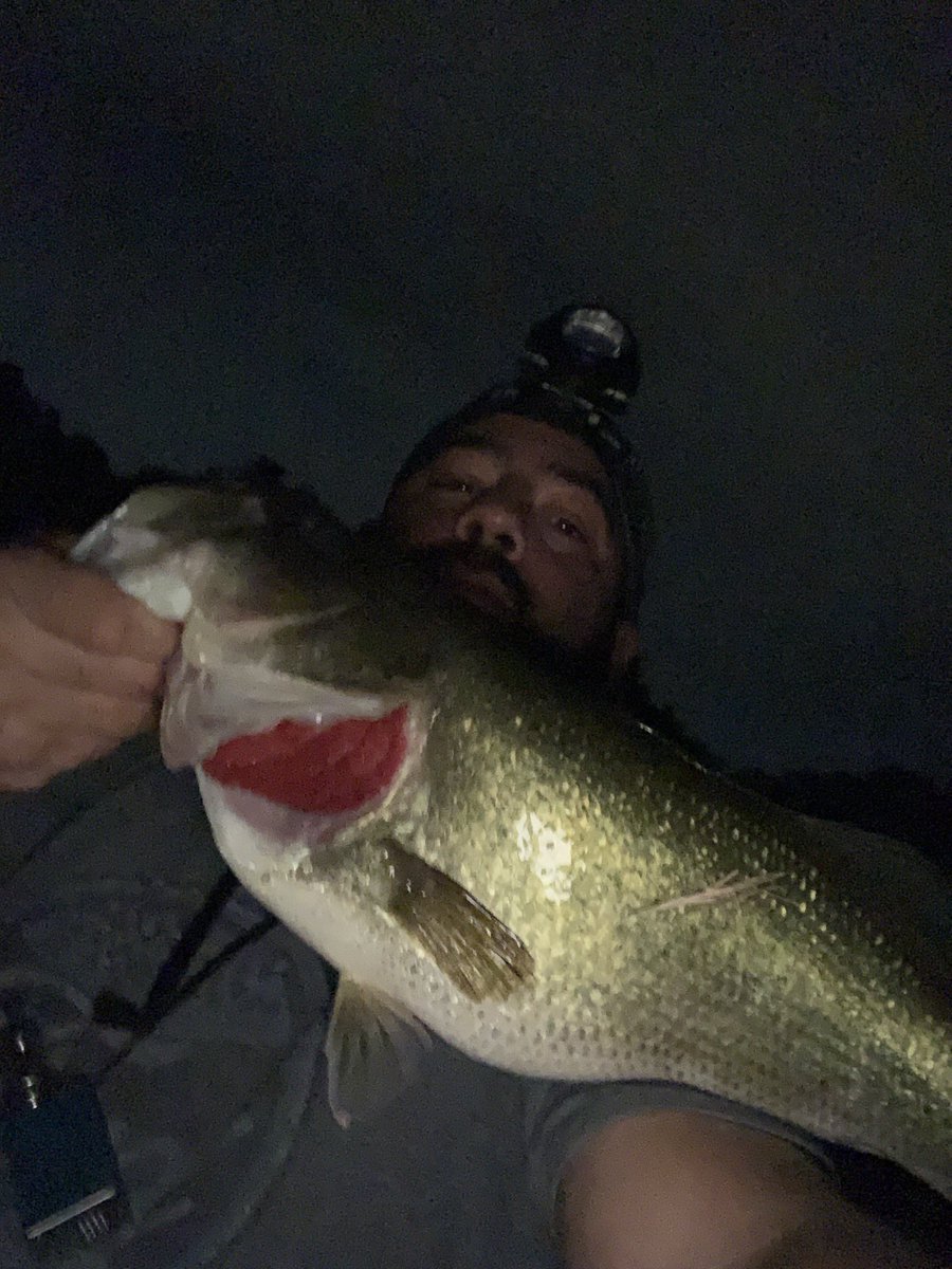 DominicsCatch's tweet photo. Great night out on the creek! Caught 7 in about 2 hours!
4 on the #chasebaits #MudBug 2 on the whopper plopper 
1 on a Square bill #bassfishing #rippinlips #fishing https://t.co/o9r7YeNFiE
