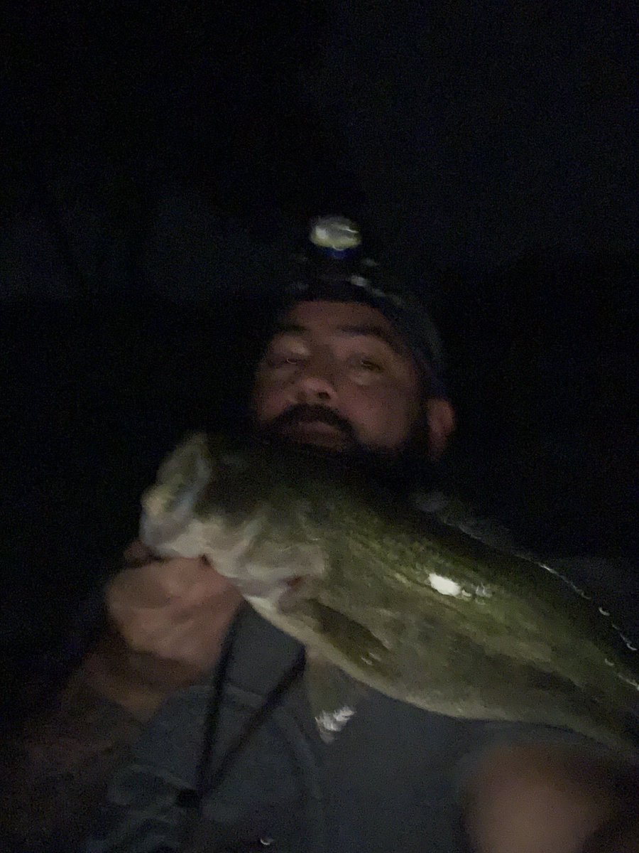 DominicsCatch's tweet photo. Great night out on the creek! Caught 7 in about 2 hours!
4 on the #chasebaits #MudBug 2 on the whopper plopper 
1 on a Square bill #bassfishing #rippinlips #fishing https://t.co/o9r7YeNFiE