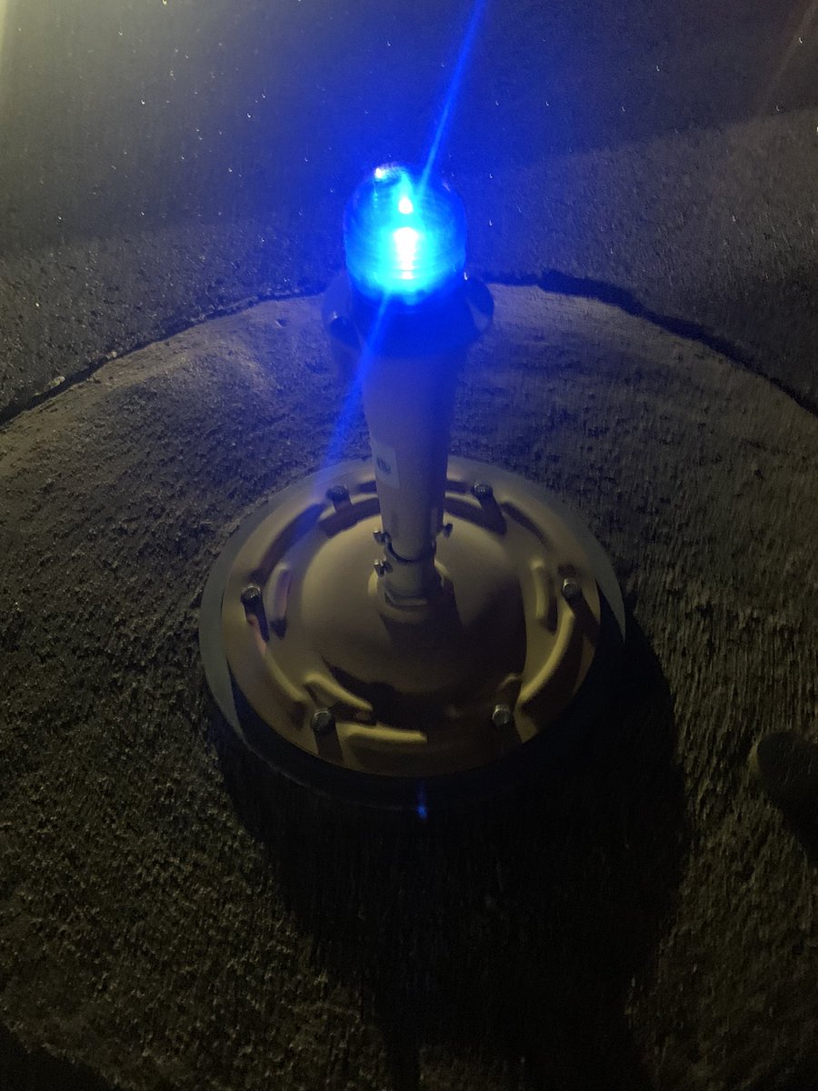 ElizabethCount1's tweet photo. @doug_picirillo @CLTAirport @AmericanAir Blue light special!💙✈️🤣 https://t.co/ea2l3yXfST