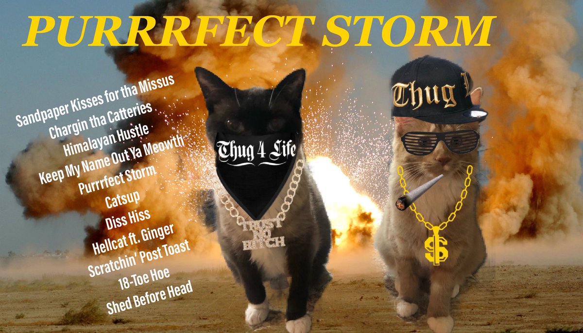 ATony_raps's tweet photo. Y’all musta forgot! I’m back with the hottest shit to hit the streets since I sold stolen speakers. Go buy this shit so I can make some money mofuckers.
-TT https://t.co/6OO5W7GSkW