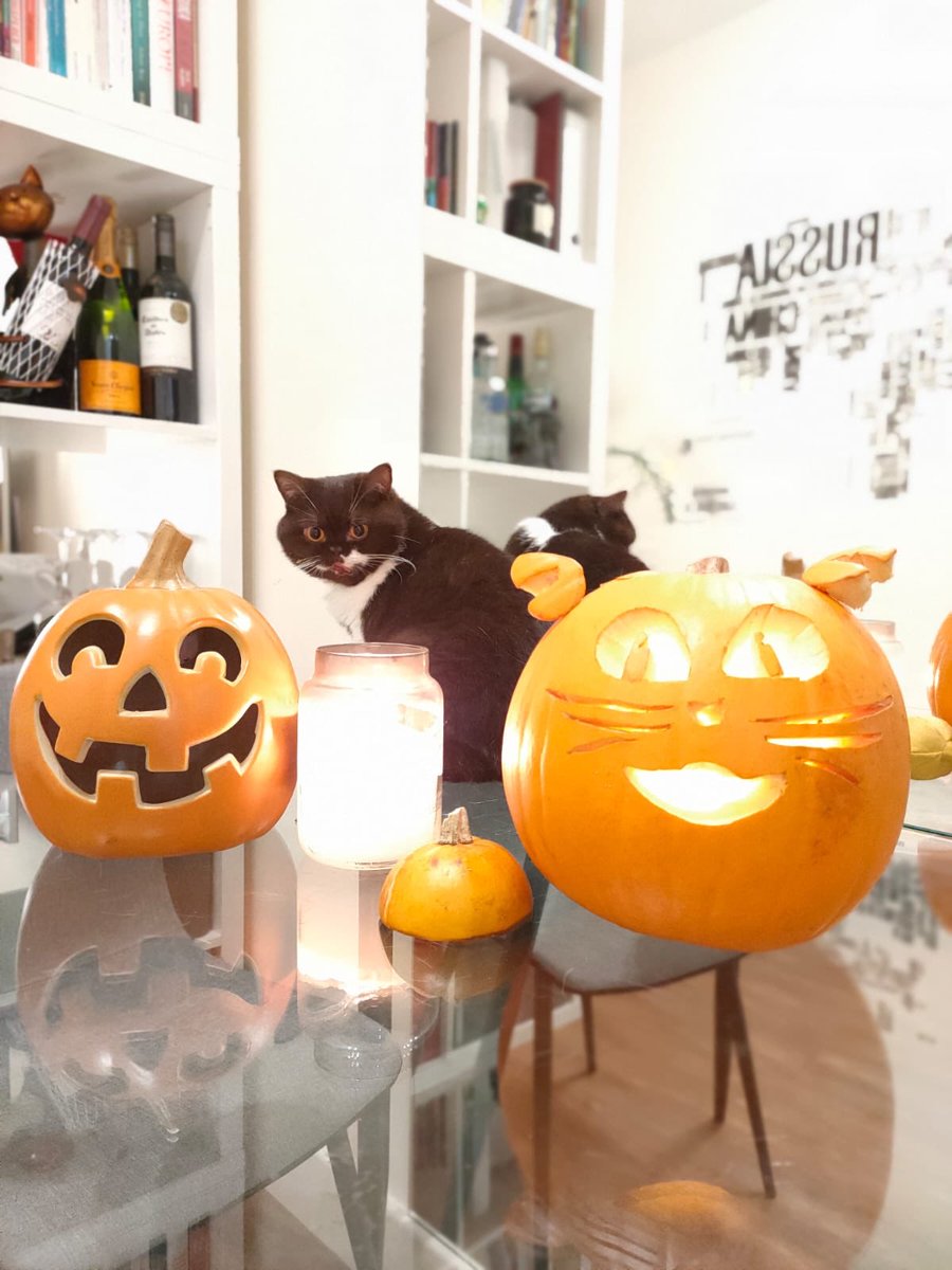 RolfatWarwick's tweet photo. In the meantime, not-so-kitten Lizzie &amp; Dr Sherry @5herrycxz have been getting ready for Halloween. Dr Sherry is a talented pumpkin carver. Does one of these jack-o'-lanterns remind you of a certain feline friend? Rolf x https://t.co/nBk4TzIi54