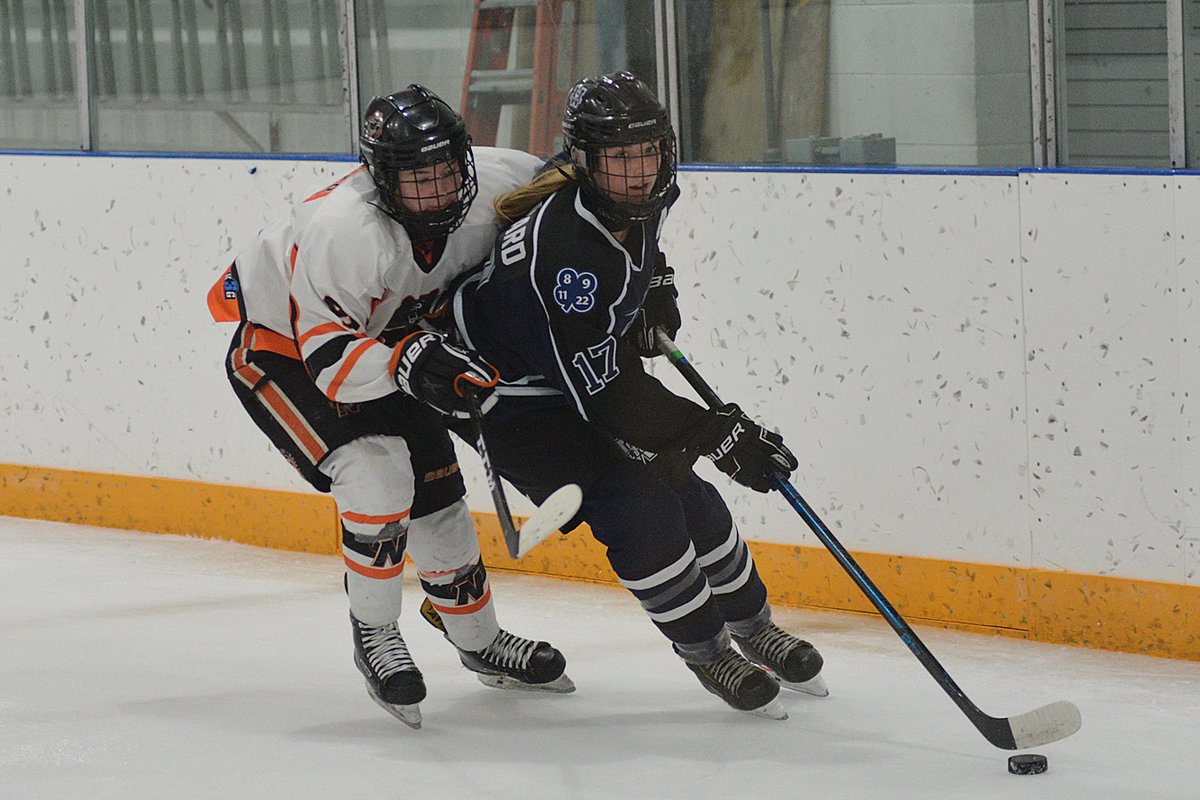 The <a href="/scaaawildcats/">SC Innovation Federal Credit Union Wildcats</a> scored 6 goals in the 2nd period to defeat the visiting <a href="/PABears/">Mann-Northway Northern Bears Female AAA</a> 8-4 today. Laiken Swan led the way with 2G &amp; 2A. The Wildcats will visit the ND Hounds on Wednesday.