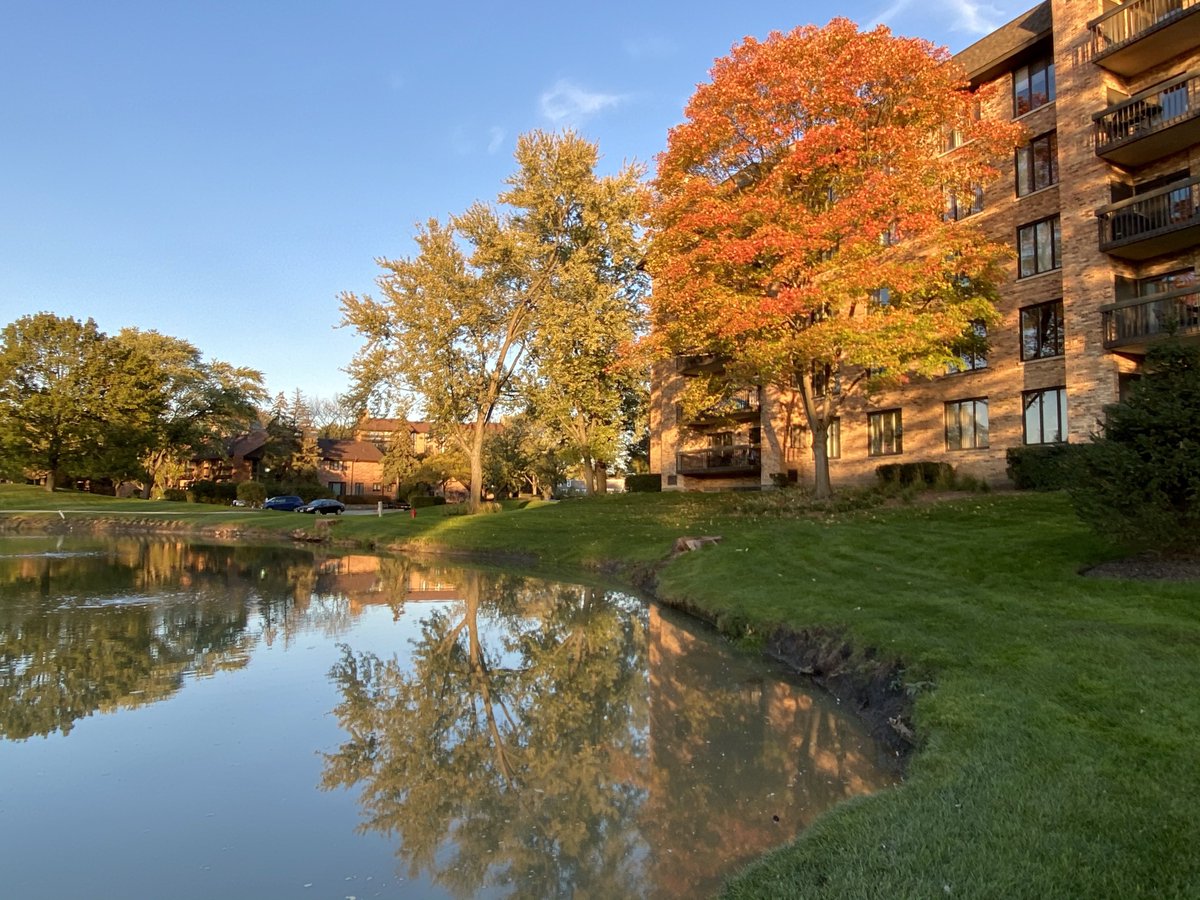 MichaelHeimlich's tweet photo. Orange maple tree leaves fall-autumn color, sunny-blue sky Chicago weather 5:25pm October 23 2021 Northbrook Illinois -Editorial Use Permission w/Credit: Michael Heimlich @MichaelHeimlich; #Fall #Maple #FallColor #FallTree #Tree #Sunny #ILwx @NWSChicago #StormHour #ThePhotoHour https://t.co/UMbS8VqivG