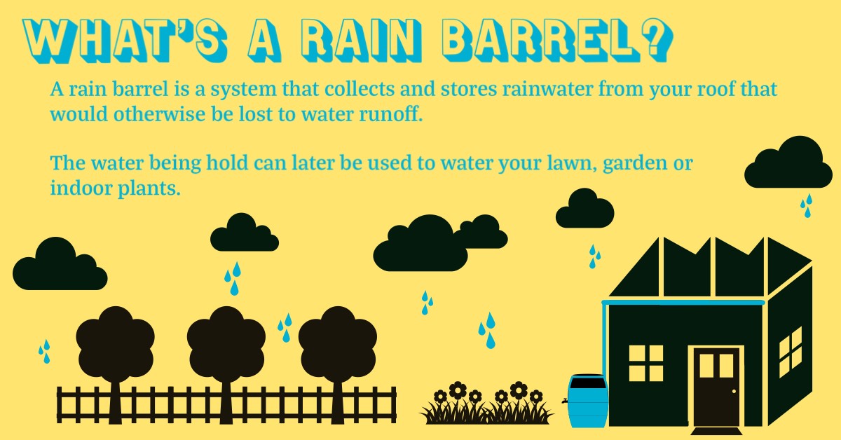 Rain is finally here! With a rain barrel, you can store rain water for another day and use it on your plants when they need it the most. The City of Woodland offers a $75 rain barrel rebate (2 max). Learn more at EnviroWoodland.org/Rebates.