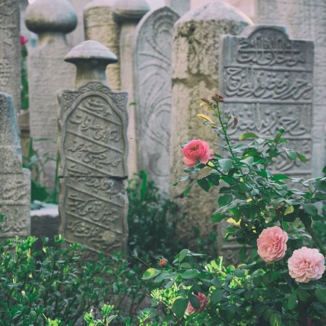 Kıyameti unutararak. Kıymeti olmayan şeylerin arkasından koştuğumuz bir çağda yaşıyoruz.