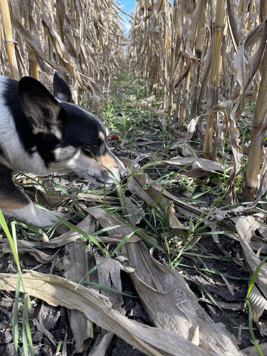 Luke Ressler tweet media