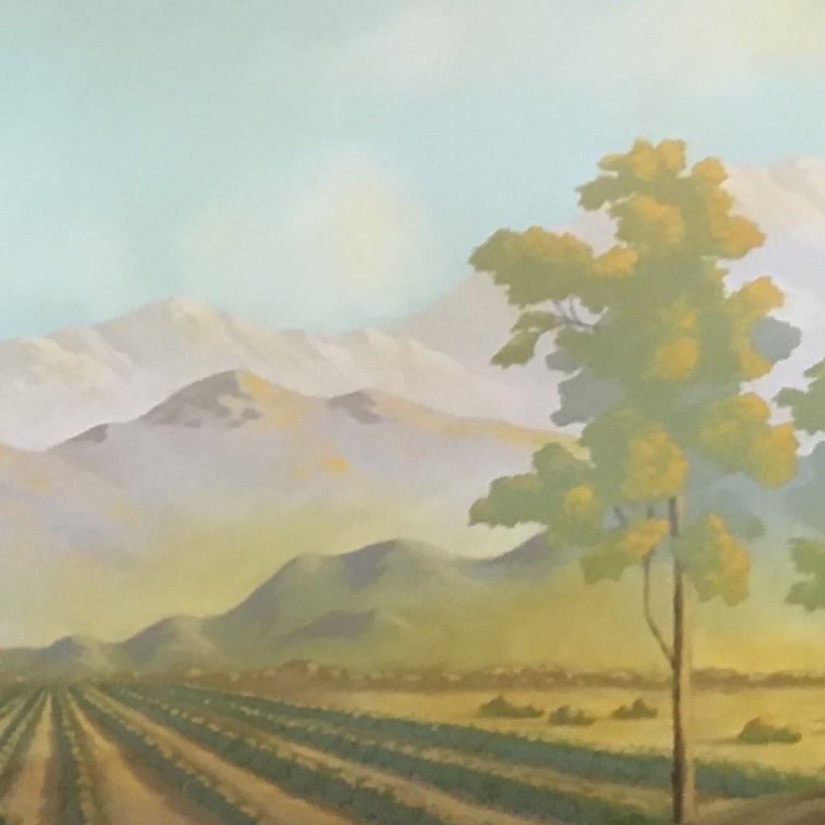 brettwatermantv's tweet photo. Remembering some great mural work with @johndouglasdesign at our Mission Revival restoration in Riverside, CA as I plan something new.  #restoration @arch_salvage_pasadena #mission #california #design @diynetwork https://t.co/bAO34d0DNw